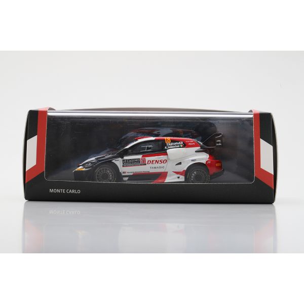 Monte Carlo143modelcar Takamoto Kastuta